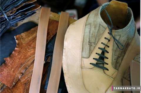 ساخت کفش از پوست پای مرغ 2